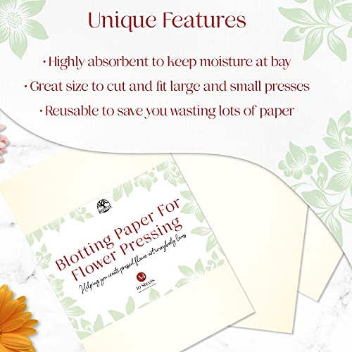 Blotting Paper for Flower Press by Berstuk® • Large A4 Flower Press Paper • Highly Absorbent and Reusable Herbarium Paper • Pack of 10 Blotter Paper Sheets - Image 5