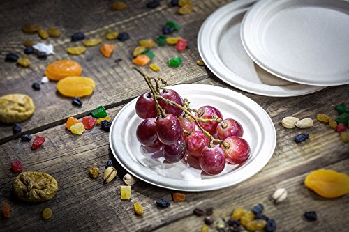 [1000 COUNT] 7" in Round Disposable Plates - Made From Natural Plant Fibers Contemporary Eco Friendly Paper Plastic Alternative 100% by-product - Thumbnail 3