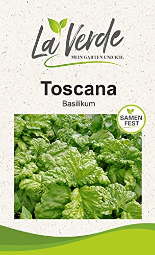Graines d'herbes basilic Toscana