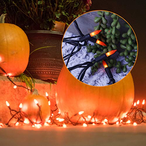 image for Twinkle Star Halloween Lights, 150 Lights Incandescent Mini Christmas 
