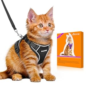 Cat Harness and Leash Set [MAX Safety 4th-Gen Upgrade] Escape Proof Adjustable Cat Leash Comfortable Soft Vest Easy to Wear Kitten Harness with Reflective Strip for Cats Walking, S Black