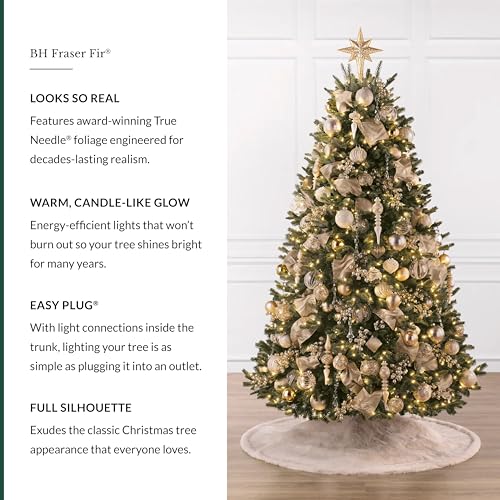 Image of Balsam Hill BH Fraser Fir - Full Christmas Tree with Most Realistic True Needle Foliage, Easy Plug Technology & Multiple Height and Lighting Options, LED Clear, 5.5ft