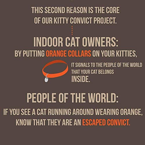 Kitty Convict Personalized Cat Id Collars (Orange Cat Collar W/Custom Pet Id Tag) #TOP5