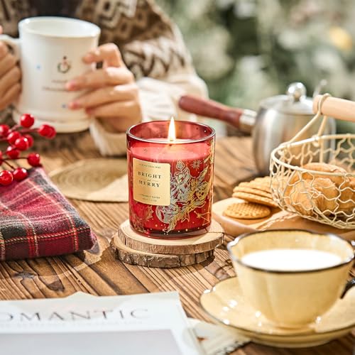 MSENSE-Holiady-Scented-Candle-Gift-for-Women-and-Men-Cinnamon-Scent-10-oz-Soy-Wax-Birthday-GiftHoliday-GiftChristmas-GiftNew-Year-Gift MSENSE Holiady Scented Candle Gift for Women and Men Cinnamon Scent 10 oz Soy Wax Birthday GiftHoliday GiftChristmas GiftNew Year Gift