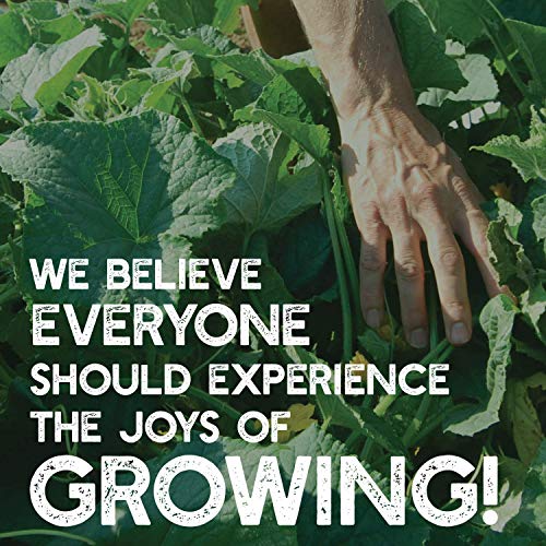 image for Mountain Valley Seed Company Radish Sprouting Seed - Red Arrow Variety