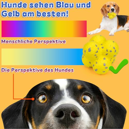 Jadyon Hundespielzeug UnzerstöRbar, Hundeball UnzerstöRbar für Aggressive Kauer, Hundeball Welpenspielzeug Ball Wicked Ball Dog Ball, Interaktiver Hundeball für Mittelgroße, Kleine Hunde und Welpen