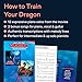 How to Train Your Dragon - Motion Picture Soundtrack Music | Piano Solo Songbook for Keyboard | 14 Oscar-Nominated John Powell Piano Arrangements from Dreamworks Movies | Celtic-Inspired
