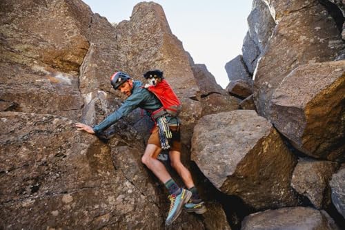 Ruffwear Hitch Hiker Hunde-Rucksack-Tragetasche, Haustier-Tragetasche, Reisetasche, integriertes Geschirr und gepolsterte Gurte, atmungsaktiv und bequem, vollständig belüftet, Basalt Gray, Größe S
