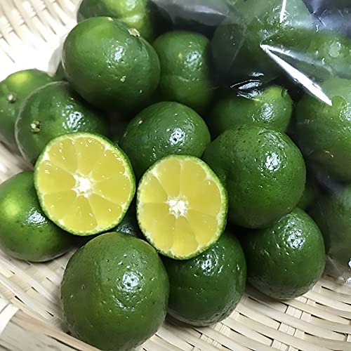 Y V[N[T[1kg Ԍ 8`11 Î_ςAH׎n߂Ǝ~܂Ȃ Ƃڂă̑ɁI kt[c