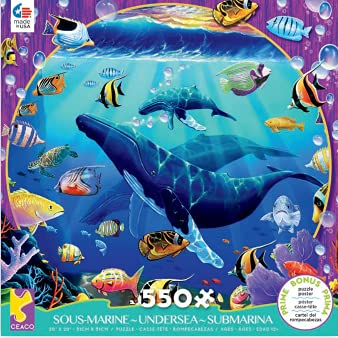 Humpback Paradise