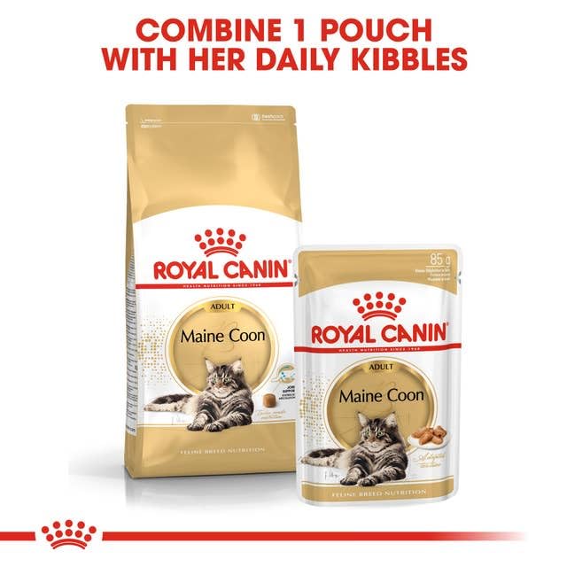Royal Canin Maine Coon Adult | 400 g | Trockenfutter für Katzen | Angepasst auf den Bedarf von Maine Coon Katzen