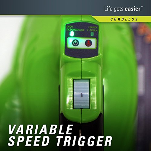 Greenworks 40V 185 MPH Variable Speed Cordless Leaf Blower/Vacuum, 4.0Ah Battery and Charger Included 24322