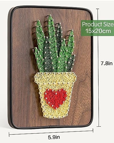Image of BAZIMA DIY String Art Kit for Beginner, DIY Aloe Craft Kit,Unique Gift,Craft Kit for Holidays