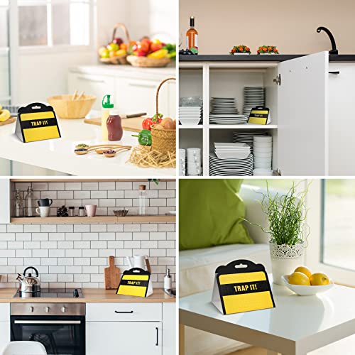 Trap It! Pantry Moth Traps, 10 Pack Sticky Glue Trap Indoor With Pheromones To Attract And Kill Grain Flour Seed Meal Moths, Non-Toxic Pantry Pest Killer For House Food And Cupboard Moth Control #TOP6