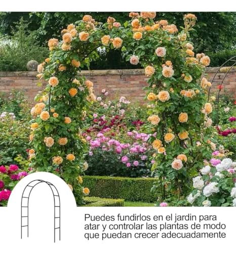 La Mejor Selección de Decoración para bodas disponible en línea. 8 Decoración para bodas marca LAMCAN (2)