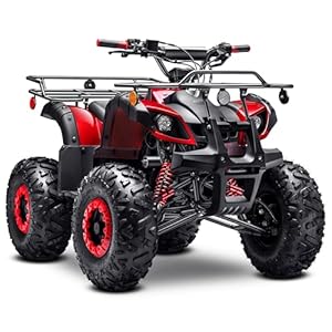 Gas 125cc ATV with Reverse Quad 4 W...