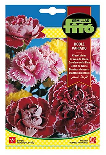 Semillas Fitó 542- Semillas de Clavel Chino Doble Variado