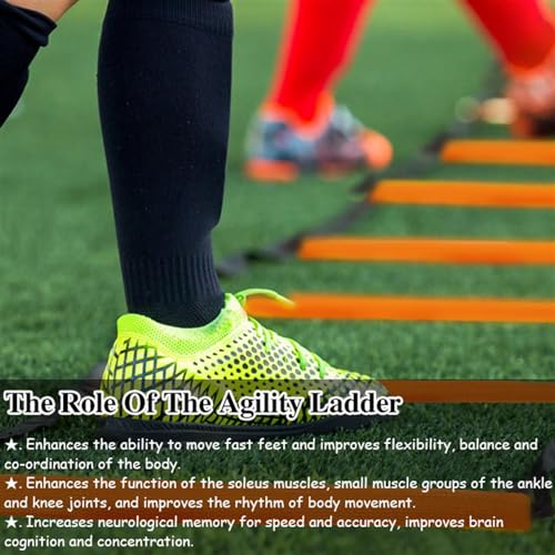 Set di scaletta e ostacoli, leggero e portatile, per esercizi di velocità e footwork, ideale per allenamenti di calcio, basket e atletica