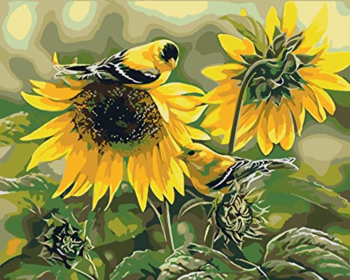 Peinture au diamant 5D kit complet broderie point de croix strass tournesol 30x40
