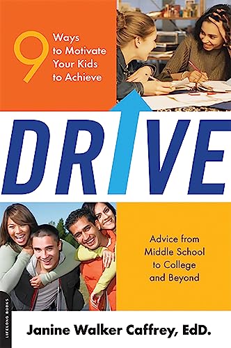 Drive view 2