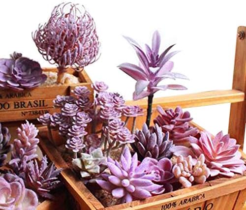 Woohome 15 PCS Artificial Succulent Plants, Purple Fake Succulent, Unpotted Faux Succulent Assortment in Flocked Blue in Different Type for Birthday Home Decor Indoor Wall Garden DIY