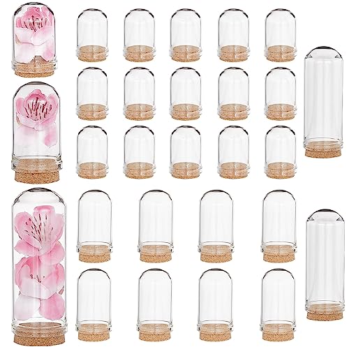 CRASPIRE 25Pcs Glass Cloche Dome 3 Size Mini Display Bell Jar with Cork Base Stand Cover DIY Decorative Vial Terrarium Cabochons Bottles Container Wooden for Christams Figurine Flower Cover DIY Craft