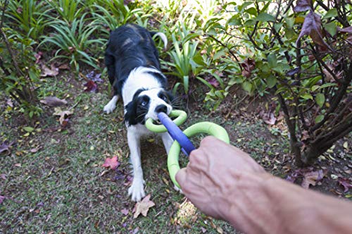 Brinquedo JW Invincible Chains Tamanho G Amarelo e Azul para Cães JW para Cães, Amarelo