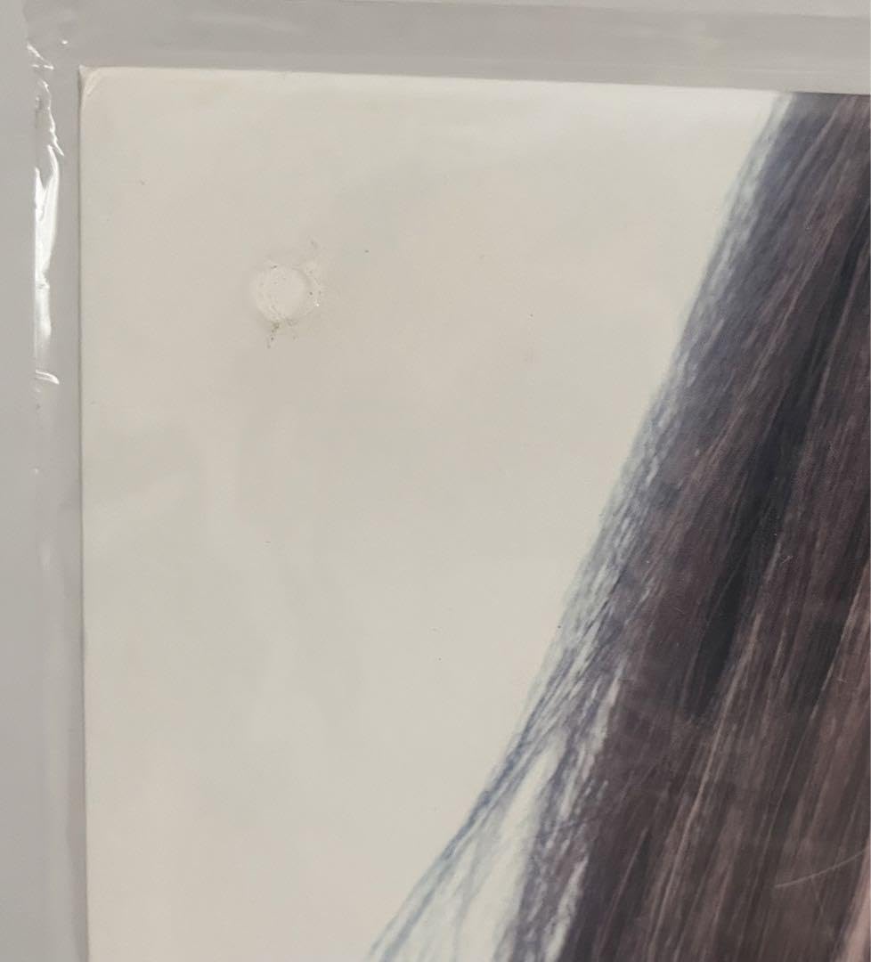 Amazon.co.jp: 中島美嘉 レア RESISTANCE レコード LP : おもちゃ