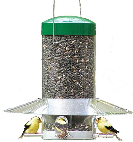 Birds Choice 12" Classic Hanging Tube Feeder
