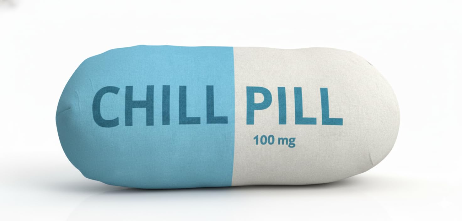 HZ MY Chill Pill Pillow - Chill Pillow for Aesthetic Room Decor, Double-Sided Soft Pill Pillows for Gifts, Comes with Zipper for Easy Cleaning.