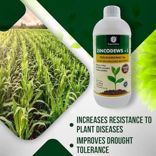 Image of OrganicDews Zinc Solublizing Bacteria (2x10^8 CFU /ML) Bio Inoculum Fertilizer (1 litre) for Plants - Soil Fertility, Faster Plant Growth and Increases the Yield