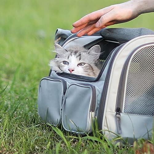 Image of Cawypety Cat Backpack Carrier, Breathable Cat Carrier Pet Backpack for Kitty Small Dog Up to 15Lbs, Transparent & Foldable Pet Carrier for Travel Hiking (Ash Grey)