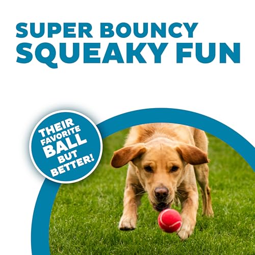 Outward Hound Squeaker Ballz 4-Pack Tennis Ball Dog Toys with Squeaker, Interactive Fetch Play for Pets Under 50 lbs, Training Balls for Indoor & Outdoor Exercise, Medium, 2.5-inch