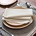 Ramanta Home Cloth Napkins Set of 12 - Soft & Durable Frayed Dinner Napkin for Easter Wedding Birthday Party | Heavy Weight Cream Fabric Table Linen for Everyday Use Dinners, 18x18 Inch - Light Flax