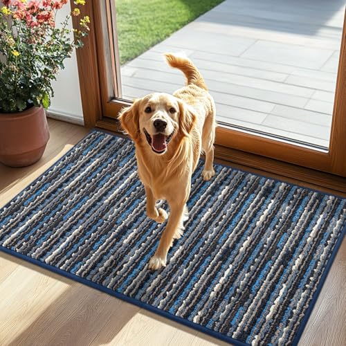 Biscpro Felpudo Entrada Casa 60x90cm Alfombra Antideslizante Tapete Lavable para Entrada,Interior,Pasillo, Cocina,Oficina,Dormitorio