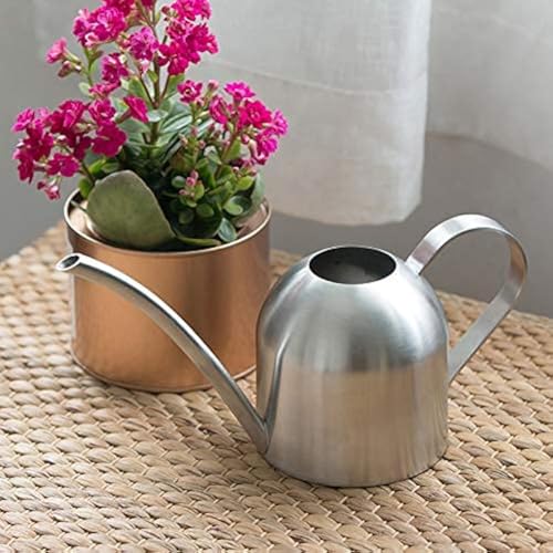 Asvert Gießkanne Klein, ultradünn, modernes Design, gebürsteter...