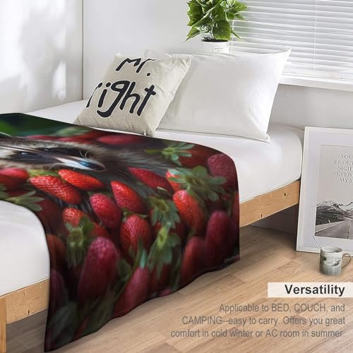 Couverture lit raton laveur en flannel premium douce jeté de canapé durable - 7