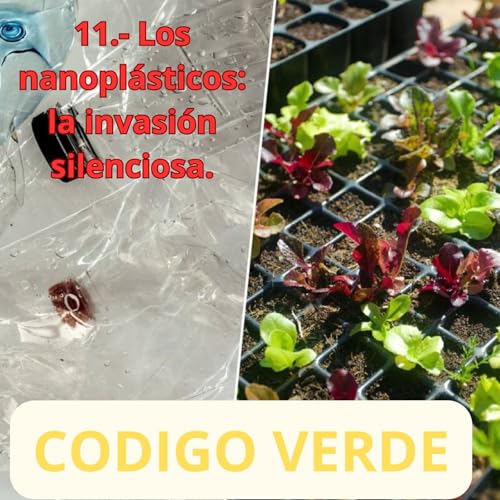 11.- Los nanopl&aacute;sticos: la invasi&oacute;n silenciosa.