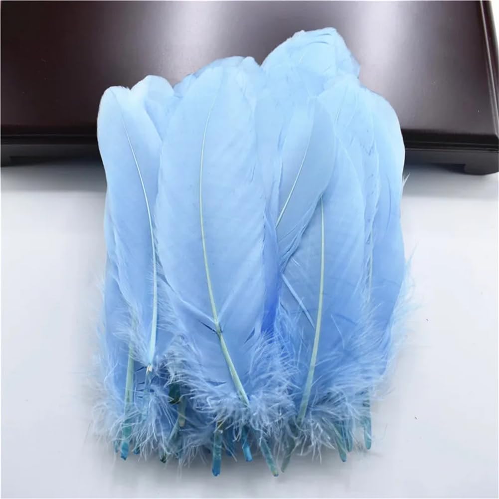 Natural Pheasant Feathers, Natural Pheasant & Goose Craft Feathers Pack of 50 Multicolor 5-7.2 inches