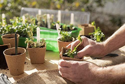 Meister Pikier-Set 2-teilig - Bestehend aus Pikierstab & Pikiergabel - Zum Versetzen von Setzlingen - Aus hochwertigem Kunststoff / Pflanzhilfe / Gartenwerkzeug zur Aussaat / FLOR78850