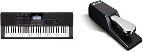 Casio CT-X700 Teclado portátil de 61 teclas y M-Audio SP-2 - Pedal de sostenimiento universal con acción estilo piano para teclados MIDI, pianos