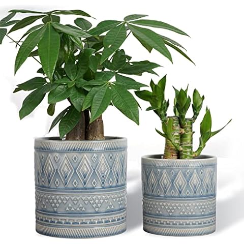 EPFamily Ceramic Flower Pot for Indoor Plants 5.7 Inch + 4.7 Inch Succulent Planter Pot with Drainage Set of 2, Blue Cover
