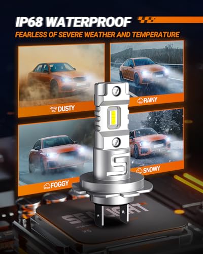 Image of SEALIGHT H7 Bulbs, 30000LM Super Brighterness 1:1 Mini Size, 6500K Cool White H7 led Fog Lights with 15000RPM Cooling Fan, Truly Plug And Play, Powersports Accessory Light Kits, Pack of 2