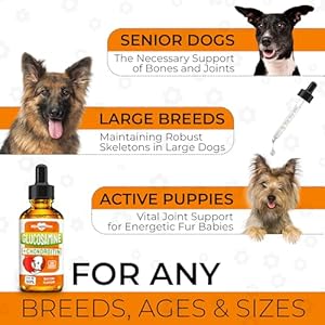 Glucosamine-for-Dogs-Liquid--Hip-and-Joint-Supplement-Dogs-Liquid--Dog-Joint-Supplement-Liquid--Glucosamine-for-Small-Dogs--Liquid-Glucosamine-for-Dogs--Bacon-Flavor--2-Oz - Cucciolini Doodles   Glucosamine-for-Dogs-Liquid--Hip-and-Joint-Supplement-Dogs-Liquid--Dog-Joint-Supplement-Liquid--Glucosamine-for-Small-Dogs--Liquid-Glucosamine-for-Dogs--Bacon-Flavor--2-Oz