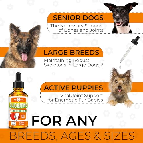 Glucosamine-for-Dogs-Liquid--Hip-and-Joint-Supplement-Dogs-Liquid--Dog-Joint-Supplement-Liquid--Glucosamine-for-Small-Dogs--Liquid-Glucosamine-for-Dogs--Bacon-Flavor--2-Oz - Cucciolini Doodles   Glucosamine-for-Dogs-Liquid--Hip-and-Joint-Supplement-Dogs-Liquid--Dog-Joint-Supplement-Liquid--Glucosamine-for-Small-Dogs--Liquid-Glucosamine-for-Dogs--Bacon-Flavor--2-Oz