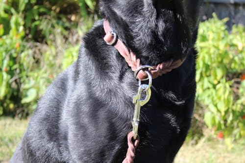 Activity4Dogs Zugstopp-Halsband mittelgroße Hunde Echt-Leder geflochten - L (Kopfumfang bis 55 cm)