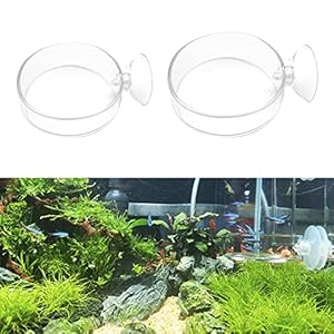 IAFVKAI – 2 vaschette per acquario, con ventose, 60 mm, 65 mm, per pesci