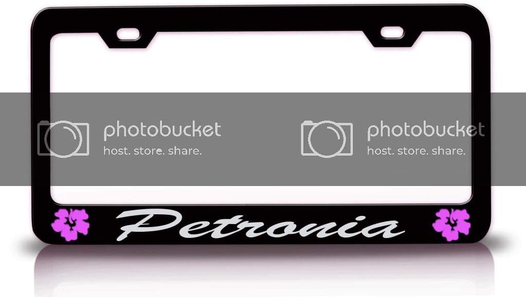 Petronia Female Name Hibiscus Metal Car SUV Truck License Plate Frame Bl n54