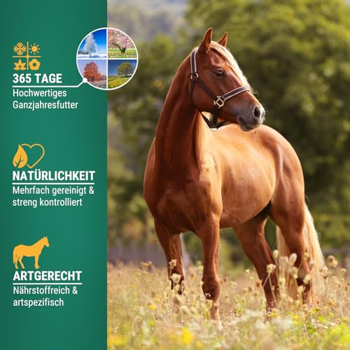 Agrarzone Hafer Pferd gereinigt 20 kg - Österreichischer Hafer für Pferde mit AMA-Gütesiegel - 100% Gentechnikfreier Futterhafer Pferdefutter