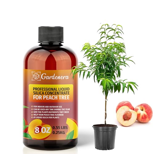 Suplemento Líquido de Sílice para Plantas 250 mL miniatura 1